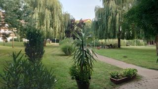 Kastély apartman - Cserkeszőlő - 1
