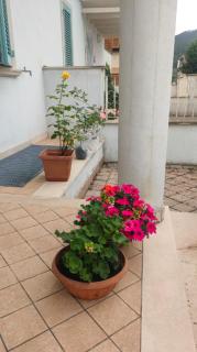 Casa delle Rose - Fiumaretta di Ameglia - 0