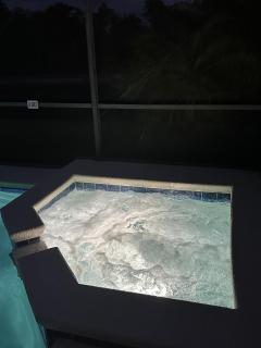 Sunny lake view villa with heated pool and spa - Davenport - 9