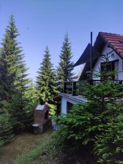 Uki & Sofi mountain house - Kopaonik - 6