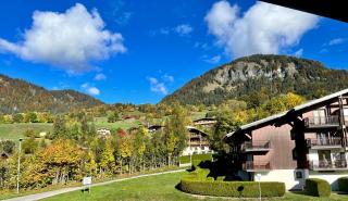 Studio à Praz-sur-Arly - Praz-sur-Arly - 4