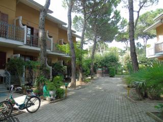 Rondini - Lignano Sabbiadoro - 9