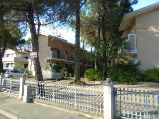 Rondini - Lignano Sabbiadoro - 7