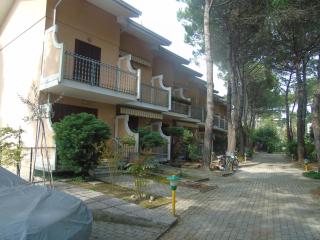 Rondini - Lignano Sabbiadoro - 6