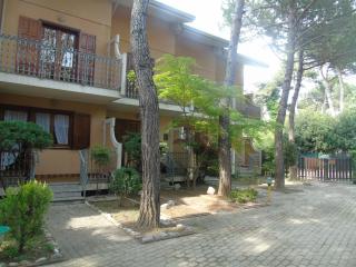 Rondini - Lignano Sabbiadoro - 5