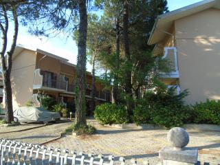 Rondini - Lignano Sabbiadoro - 4