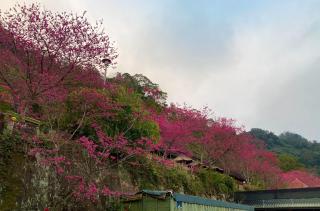 Xianshan Homestay - 4