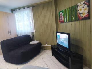 Studio Cosy au Calme, RER-2arrêts Stade-25minParis - 4