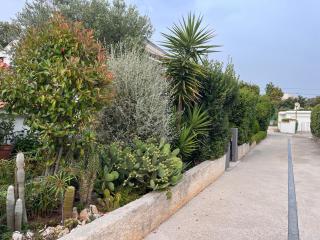 Sunny Val 1 Apartment - Petrcane (Peterzane) - 9