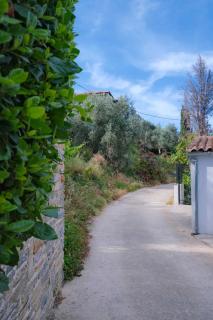 Rosemary Studio - Chorto - 8