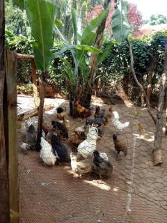 Kusini House & Campsite KItale - 2