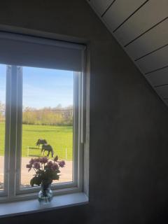 Scandinavian Haven - Mörarp - 1