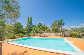 Masseria Le Palmentelle Pool And Garden - Happy Rentals - San Donato di Lecce - 0