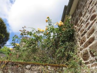 Le Jardin à Mordreuc - Pleudihen - 7