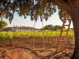 Casa Rural en Bodega La posada de Vitis - Casas de Santa Cruz - 8