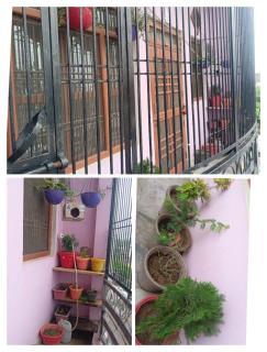 Shriyanshi Homestay - Faizābād - 3