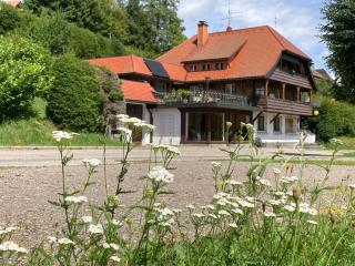 Gästehaus Sonnenheim, Friedenweiler, Titisee - Friedenweiler - 9