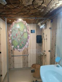 Houseboat New Suzan - Srinagar - 4