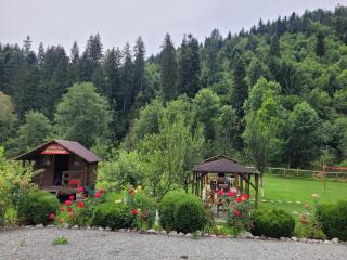 Casa Ursului - Vadu Moţilor - 5