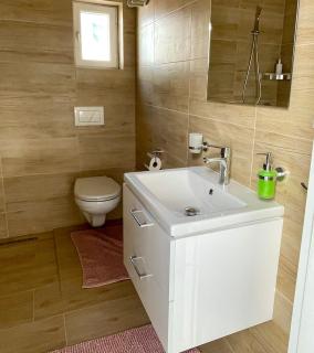 Apartmán Dominikánská - 5