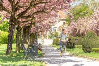 APARTMENT KLAGENFURT Villa Frank No1 - with Free Parking, Air Conditioning, Smart-TV & Self Check-in - Klagenfurt - 4