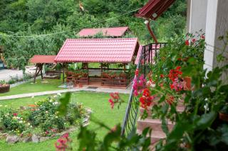 Casa Mădălina - Oeștii Ungureni - 4