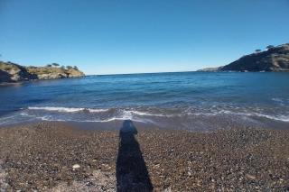 les elmes 3 - Banyuls-sur-Mer - 3
