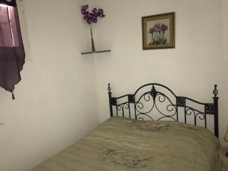 Studio cabine avec loggia, 4 pers, mer à 50m, commerces à 150m, proche Aqualand - FR-1-81-231 - Port Leucate - 2