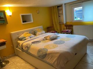 Logement entrée indépendant, sous sol éclairé, cuisine, SDB WC, jardin - 1