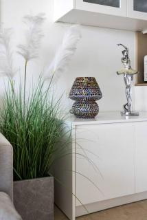 Beach Front Luxury Apartment - 6