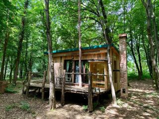 Living Forest Resort - 3