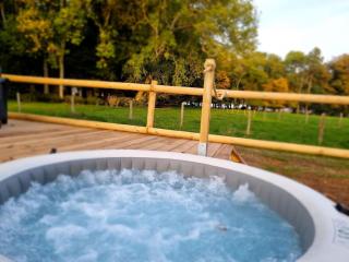 le L ' o d g e du Parc en pleine Nature - Saint-Martin-le-Gaillard - 8