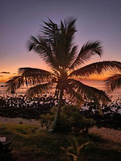 Coral Cottage Homestay - Trou aux Biches - 0