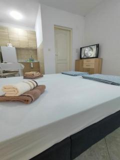 A1 - Airport Belgrade Apartment - Belgrade - 1