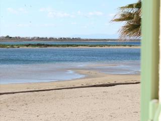Maison 4 pièces avec piscine, parking, et lave-vaisselle à Gruissan - FR-1-229-112 - Gruissan - 3