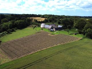 Le Domaine de Kerampape, gîte accessible, vignoble en Finistère sud - Pouldergat - 8