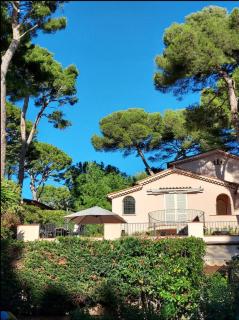 Cap d'Antibes, swimming pool, sea, terrasse - Antibes - 0