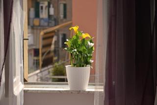 Casa Via Cesena - Roma - 8