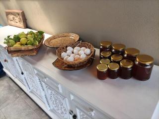Tenuta Naturale - Villa San Pietro - 3