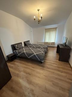 Alexander Residence - Brăila - 8
