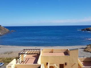 Studio avec terrasse, accès plage, parking. Animaux acceptés - FR-1-225C-5 - Cerbère - 0