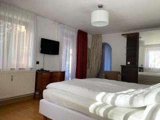 Appartement mit Terasse - Altensteig - 2
