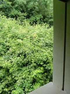 La Panoramica a Molino del Pallone - 1