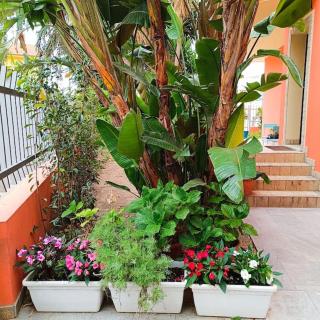 Casa vacanze in villa - Decimomannu - 5