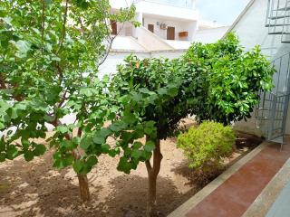VILLINO Arianna - San Foca - 8