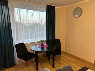 Słoneczny Apartament - Danzig - 1