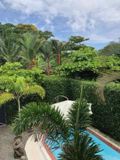 Casa Toucan mit privat Pool near NP Ballena - 0