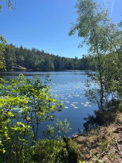 Pool House - Tyresö - 9