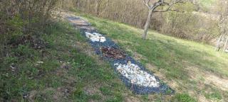 Press House at the Walnut Tree - MyPressHouse - Pécsely - 9