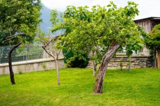 Anna nel verde - Albosaggia - 7